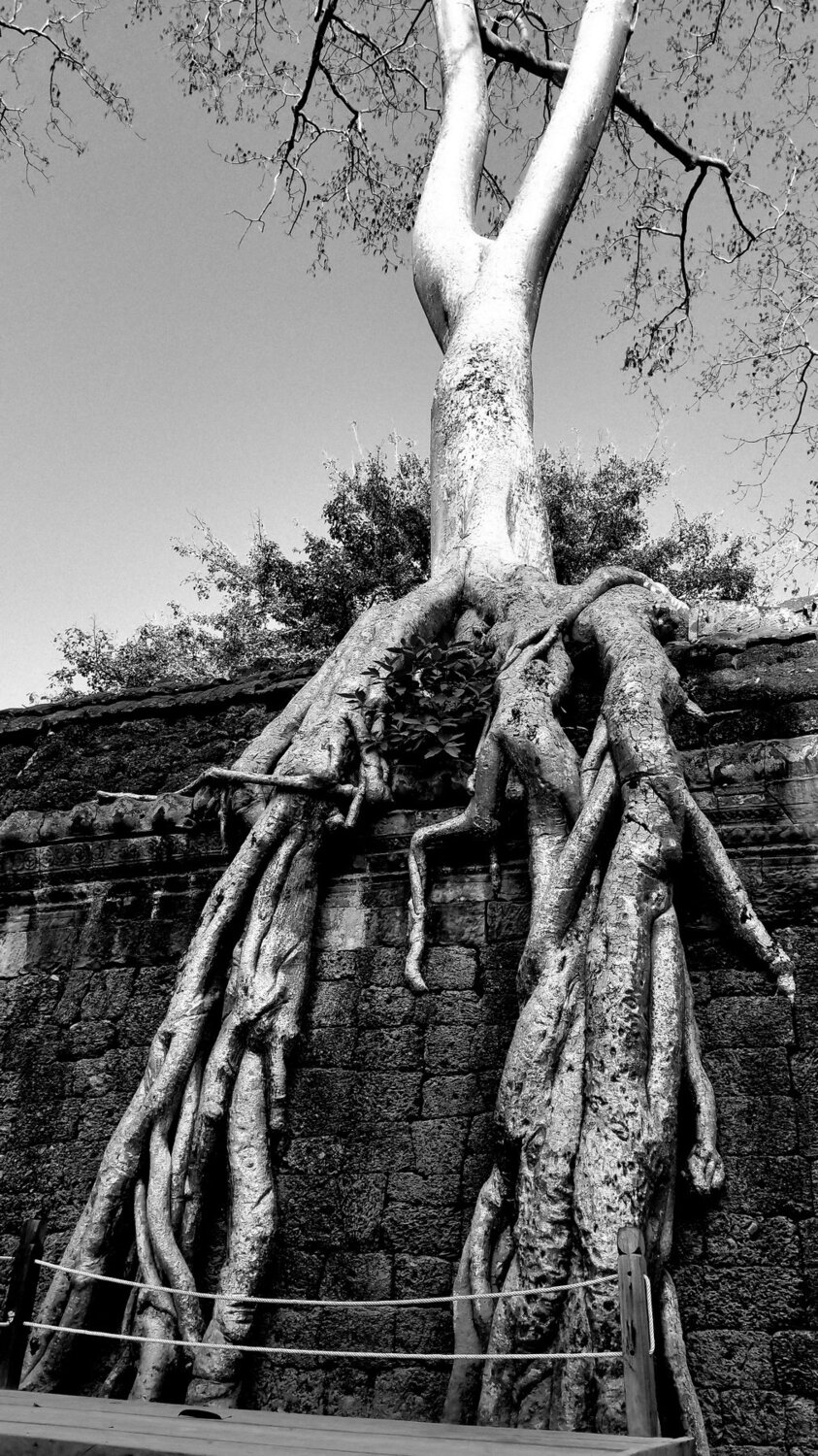 Angkor Wat