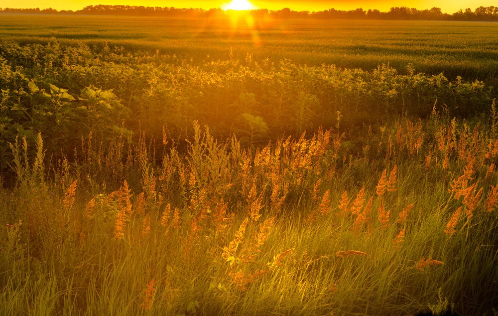 Тольяттинские рассветы