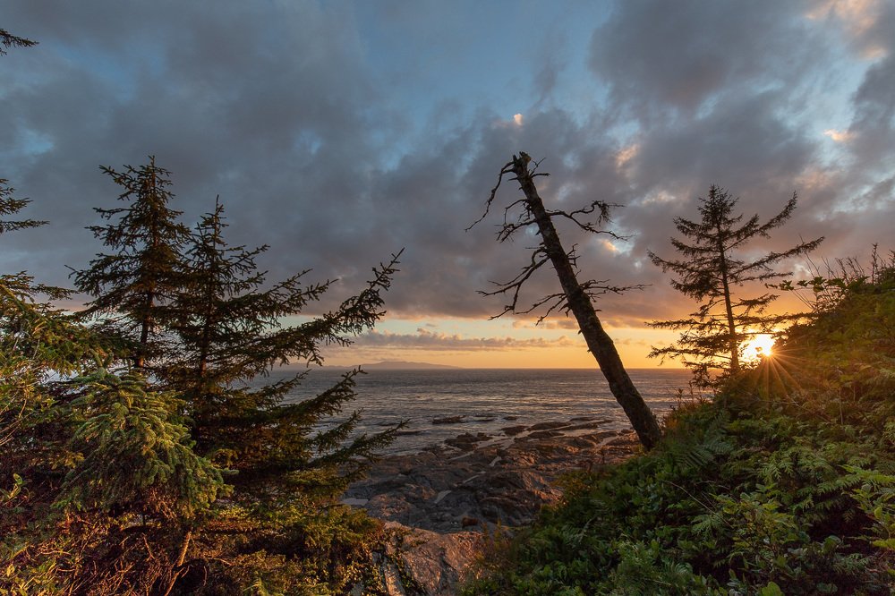 Photograph by Terebilov Andrey