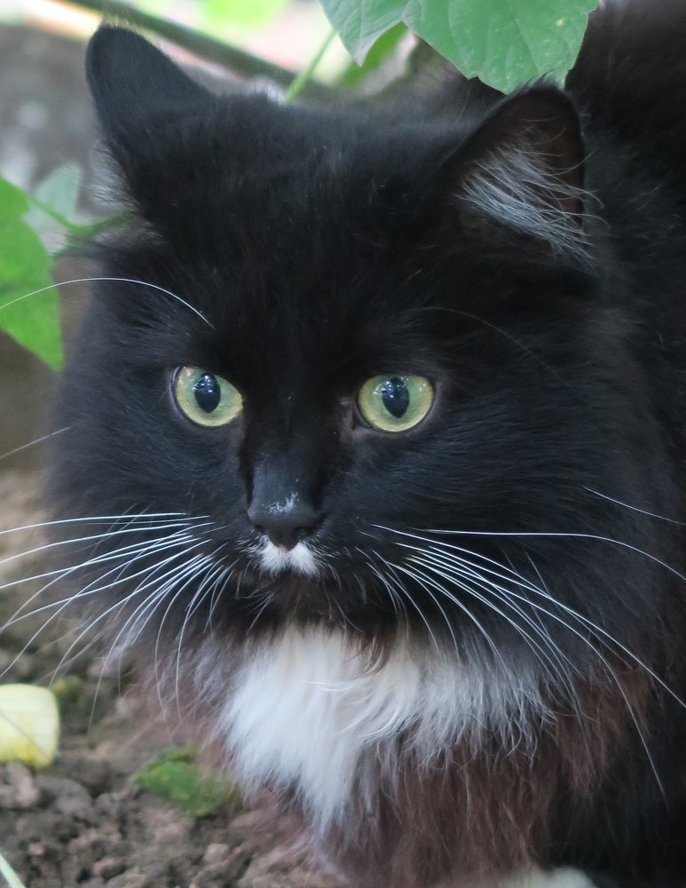 Photograph by Elena Nadeeva