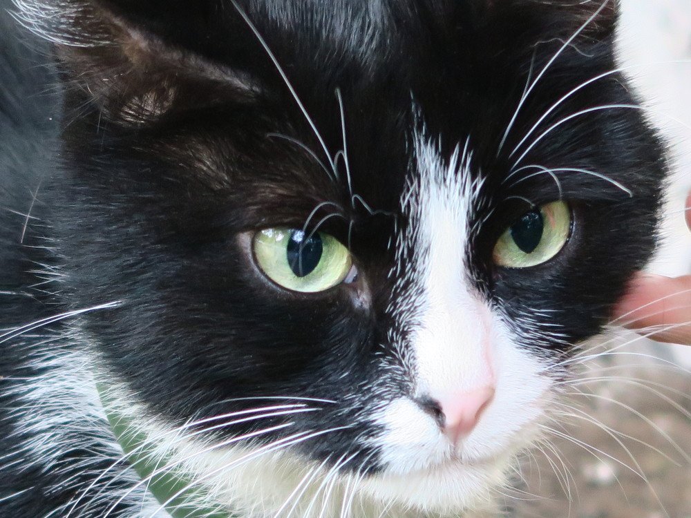 Photograph by Elena Nadeeva