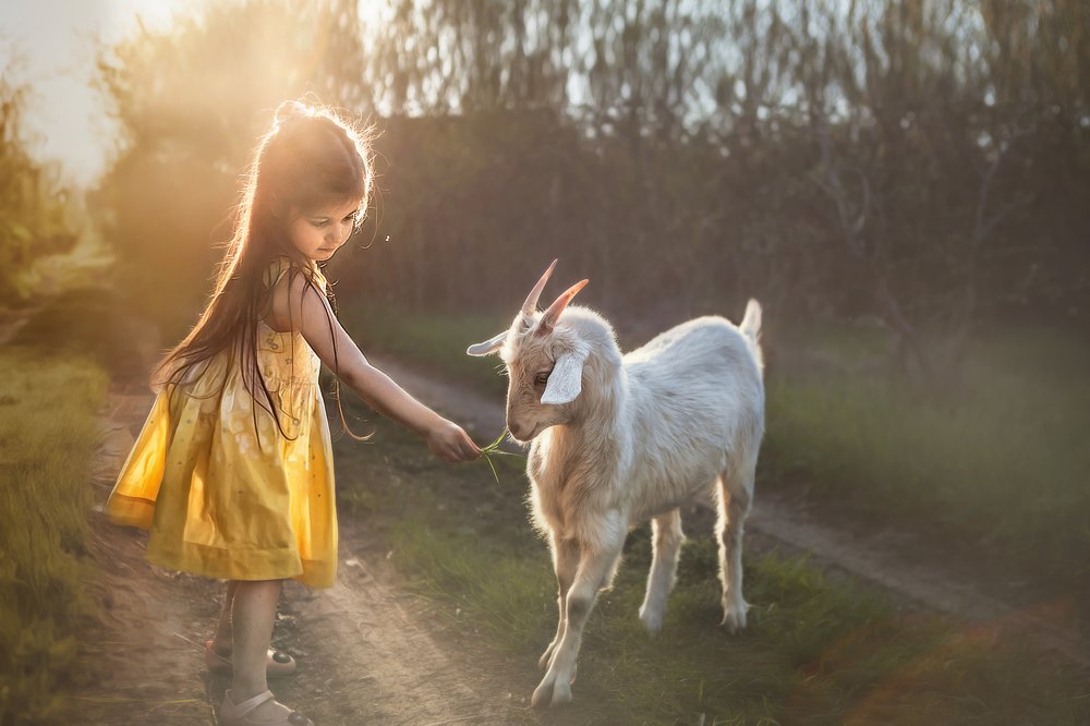 В деревне у Дедушки