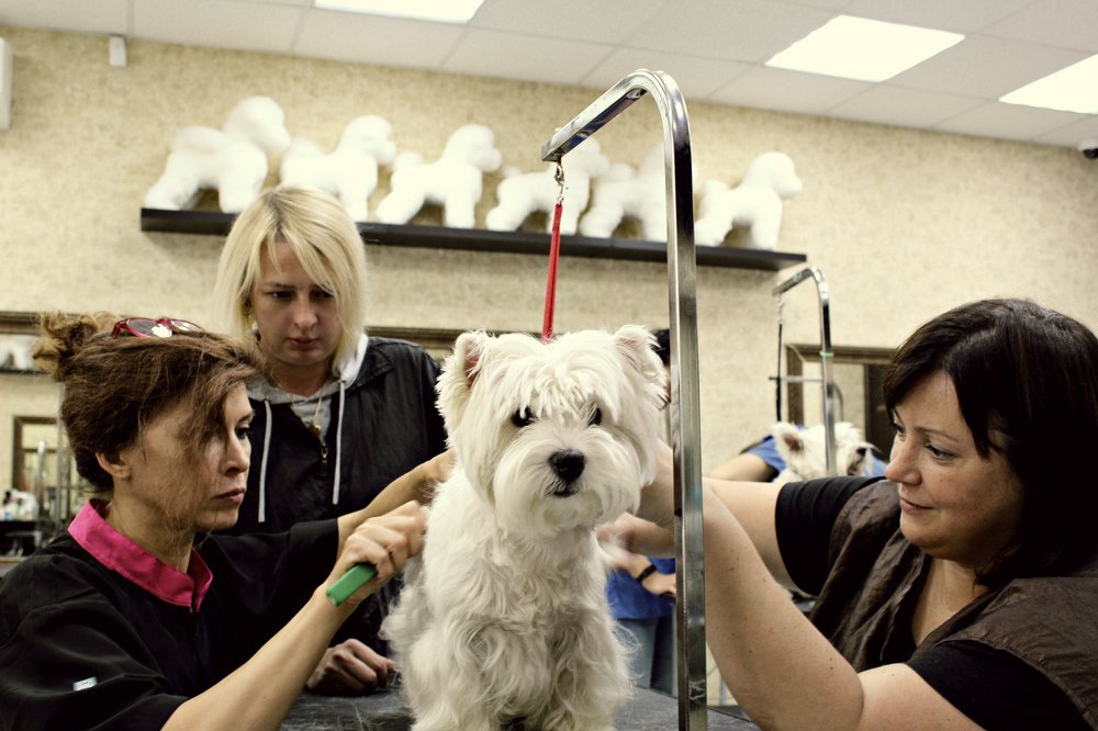 Все хотят быть красивыми.