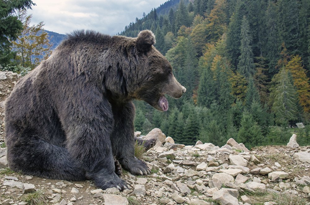 Жрать хочу!!!