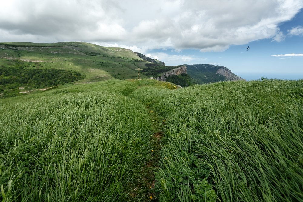 Тропа к счастью