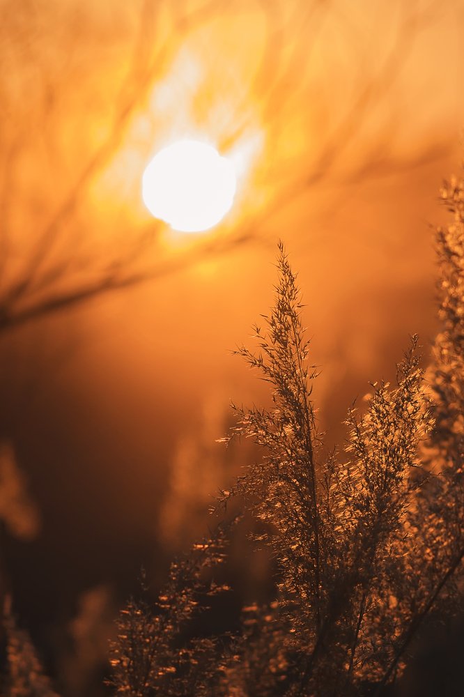 Photograph by Логинов Сергей