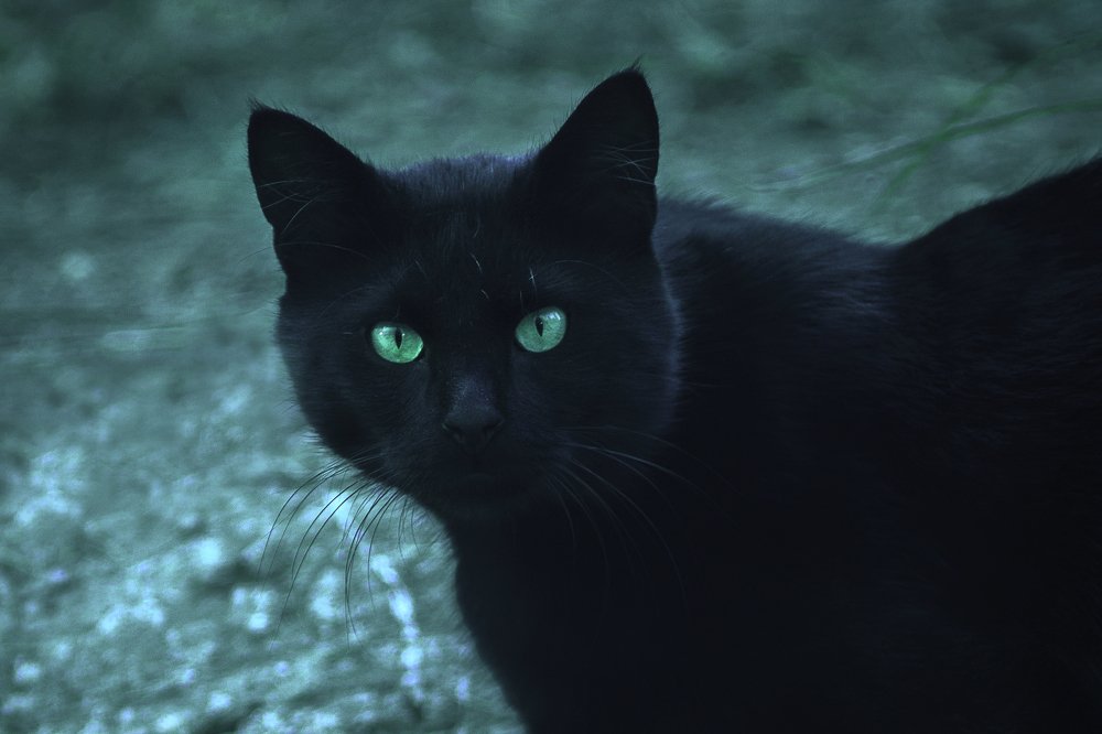 Photograph by Логинов Сергей