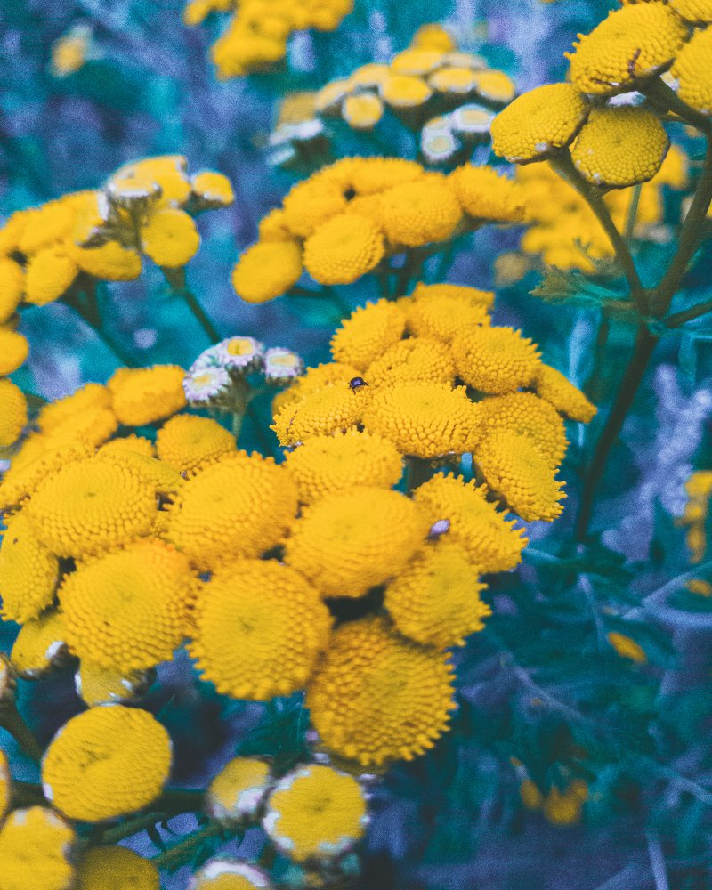 Photograph by Евгений Журихин