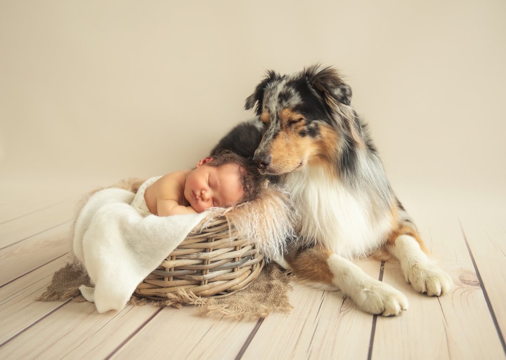 Под охраной сон крепче