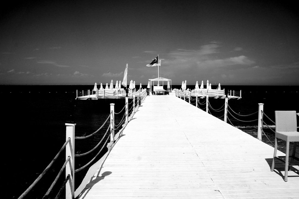 Photograph by Elena