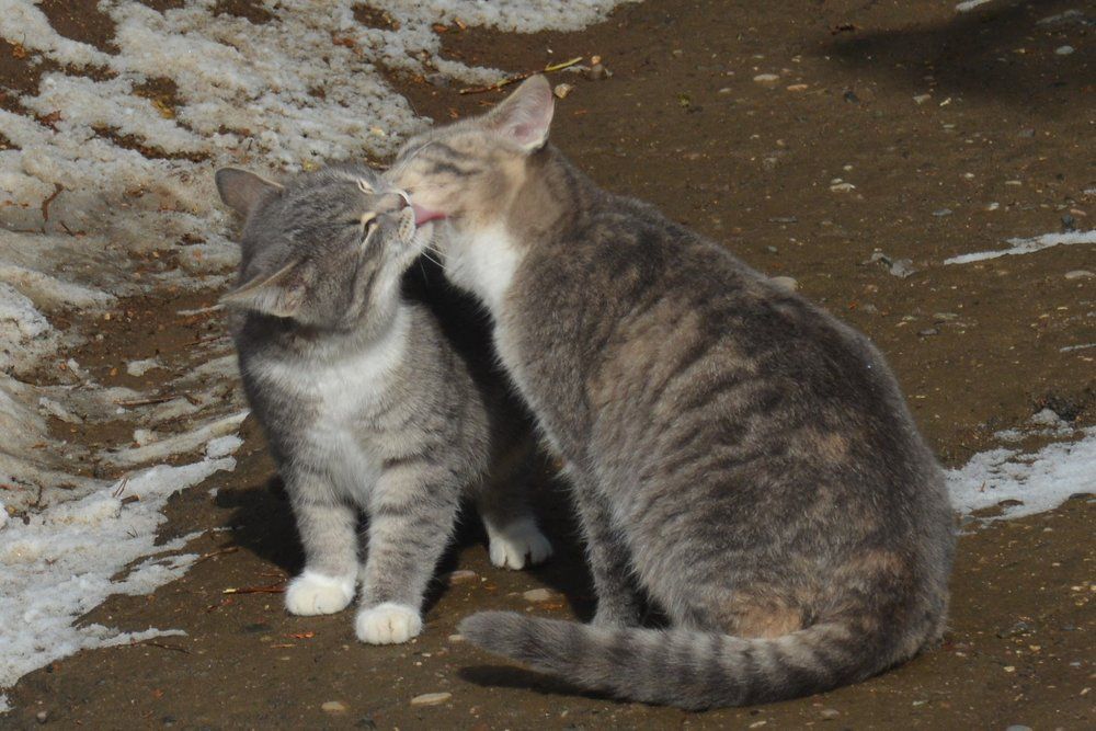 Photograph by Анатолий Зеленский