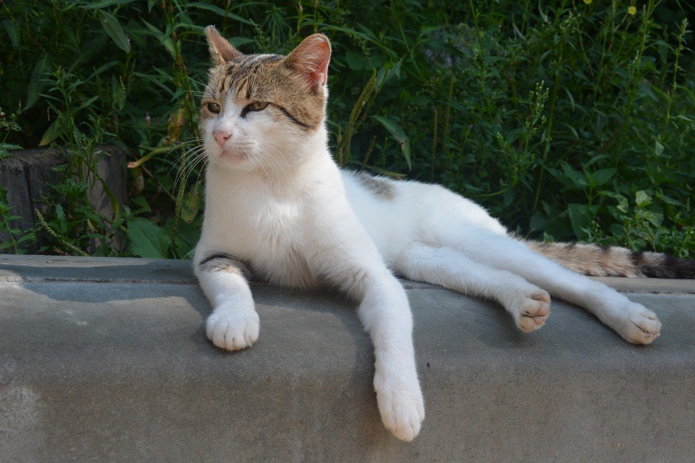 Photograph by Анатолий Зеленский