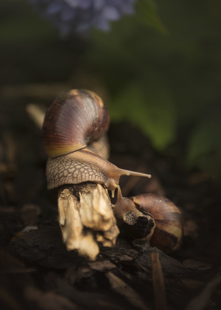 Первая встреча