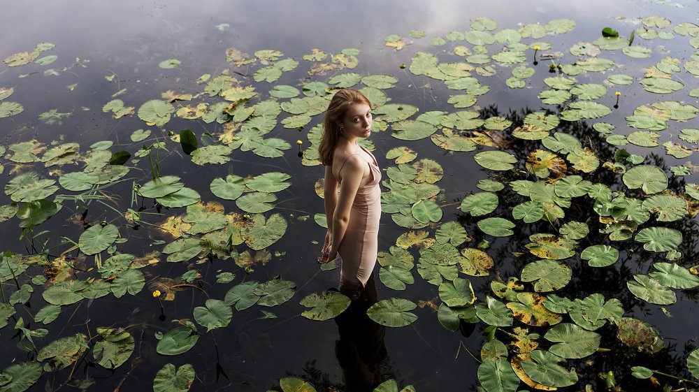 Портфолио, 2019