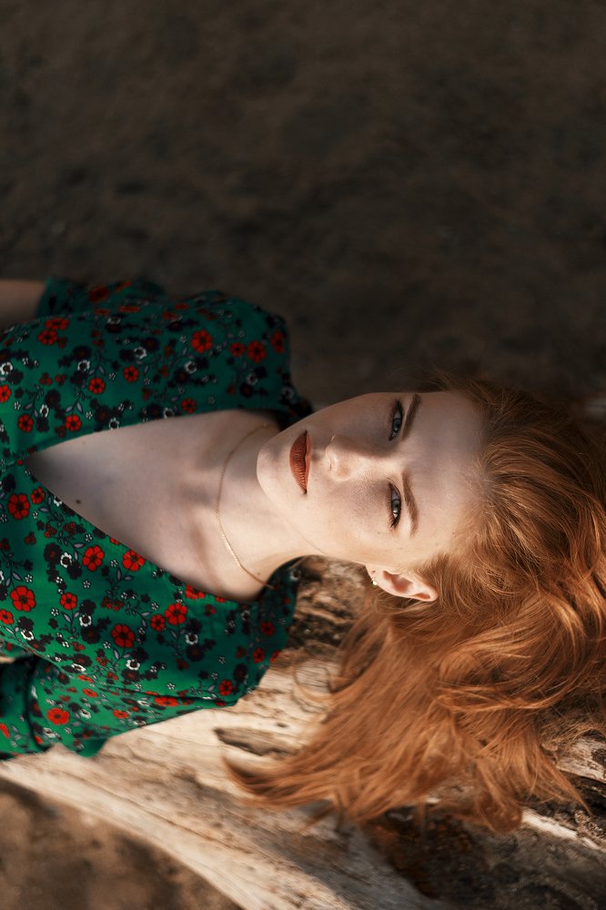 Портфолио, 2019