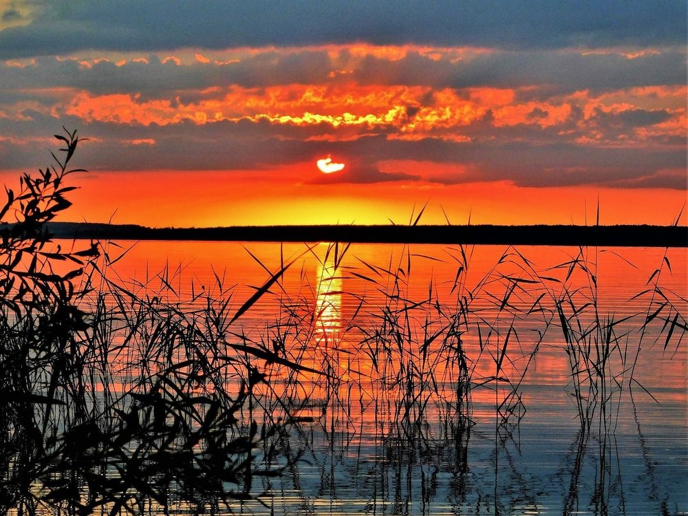 Photograph by Вячеслав Розмин