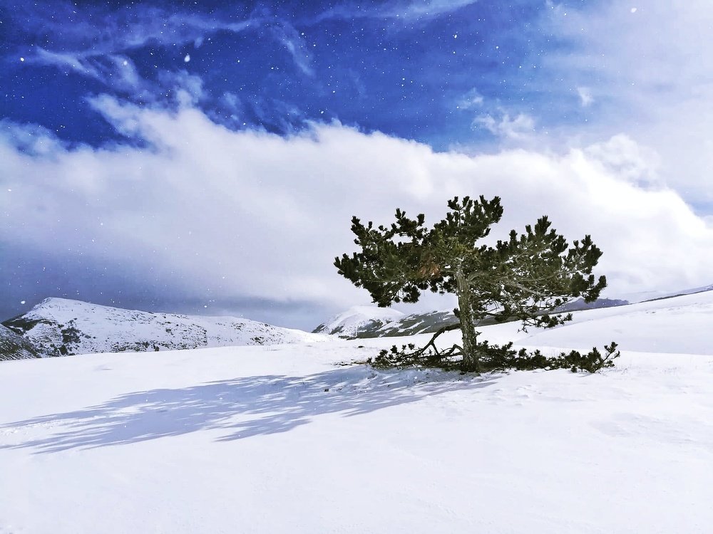 Sleeping mountain