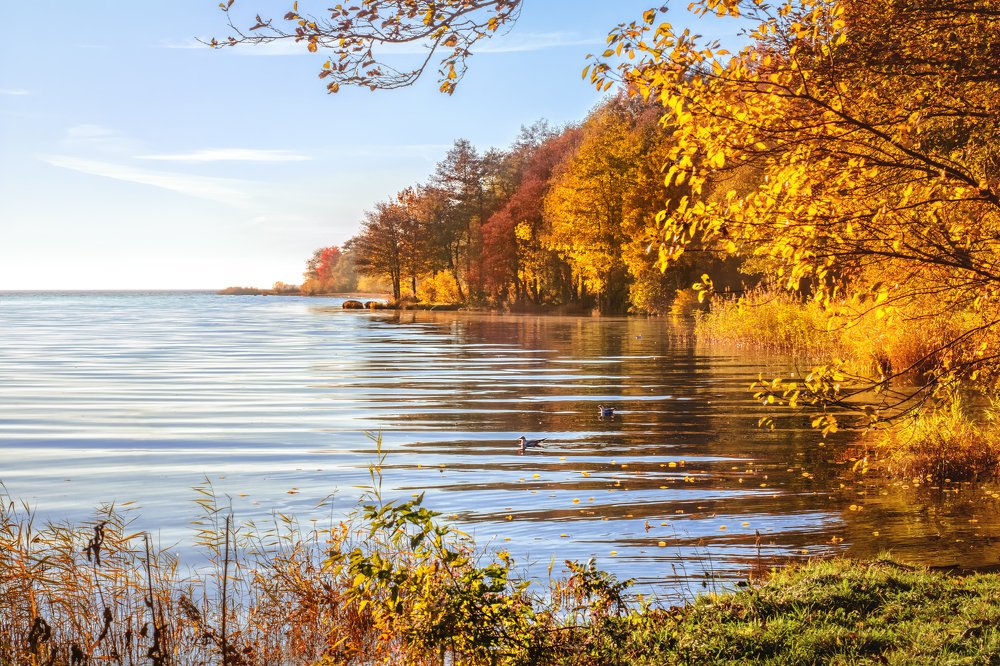 Photograph by Nau-Nau