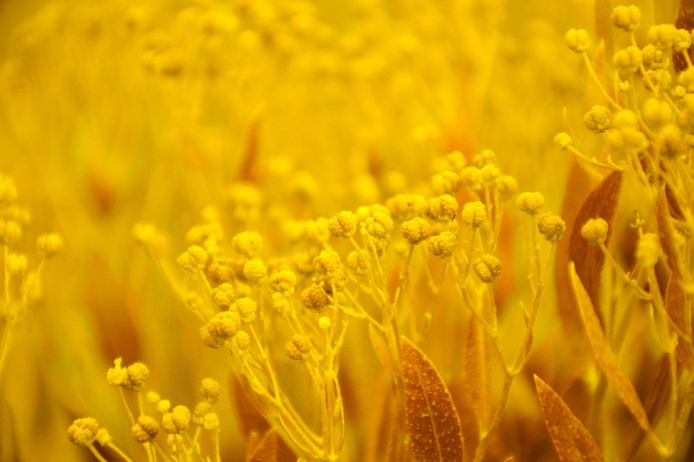 Photograph by Сергей Бережной