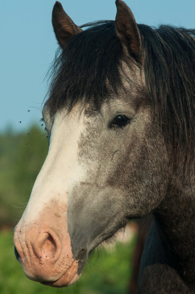 Photograph by Максим Мелехин