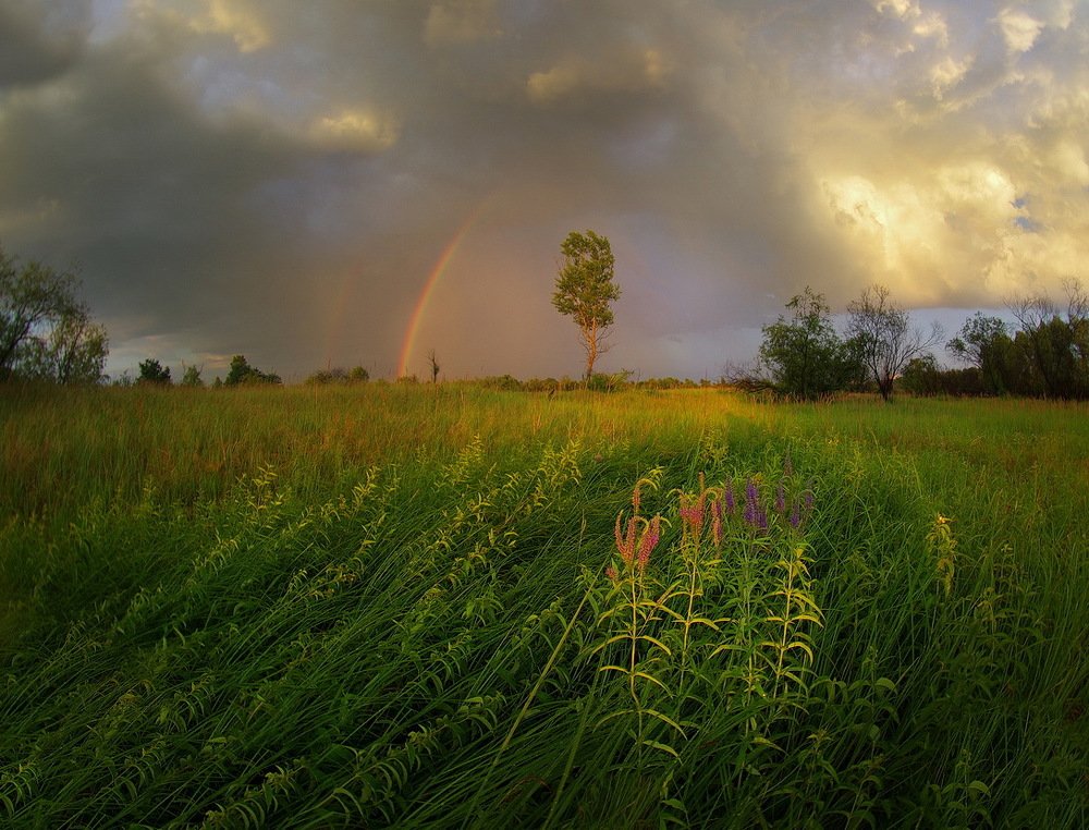 Летний вечер