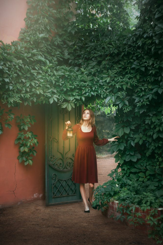 mystery of the forest