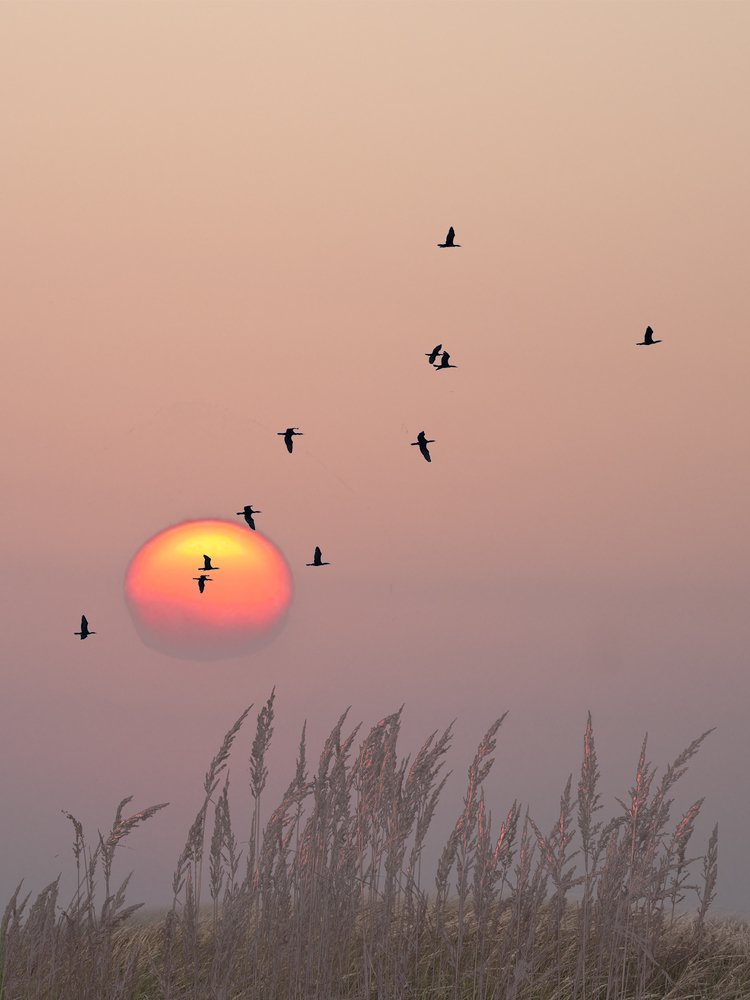 Полеты во сне и наяву