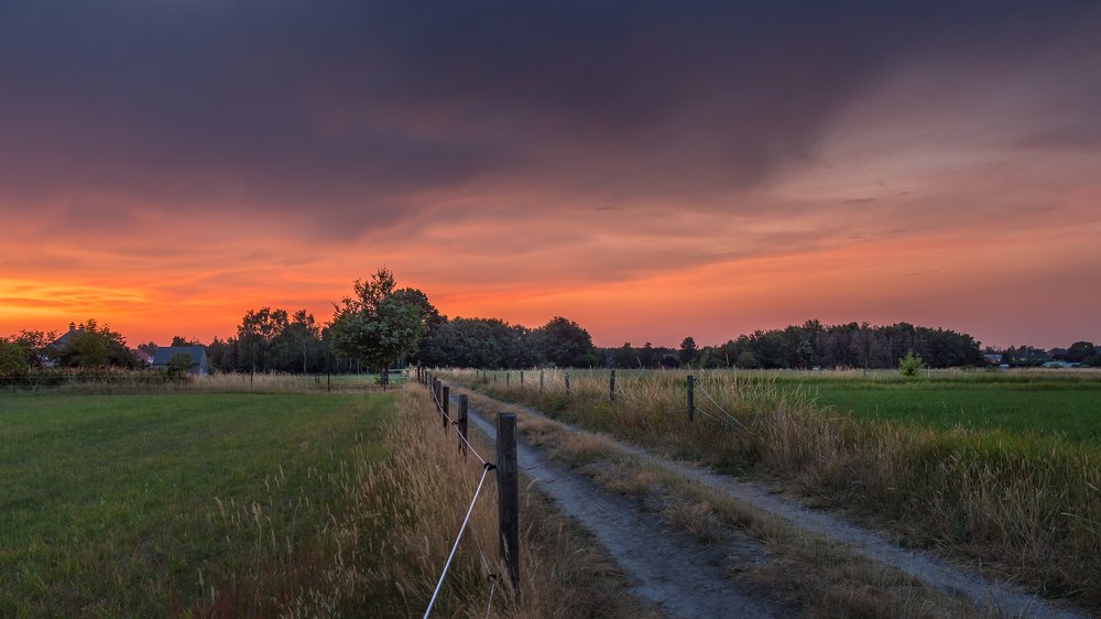 A hot summer evening.