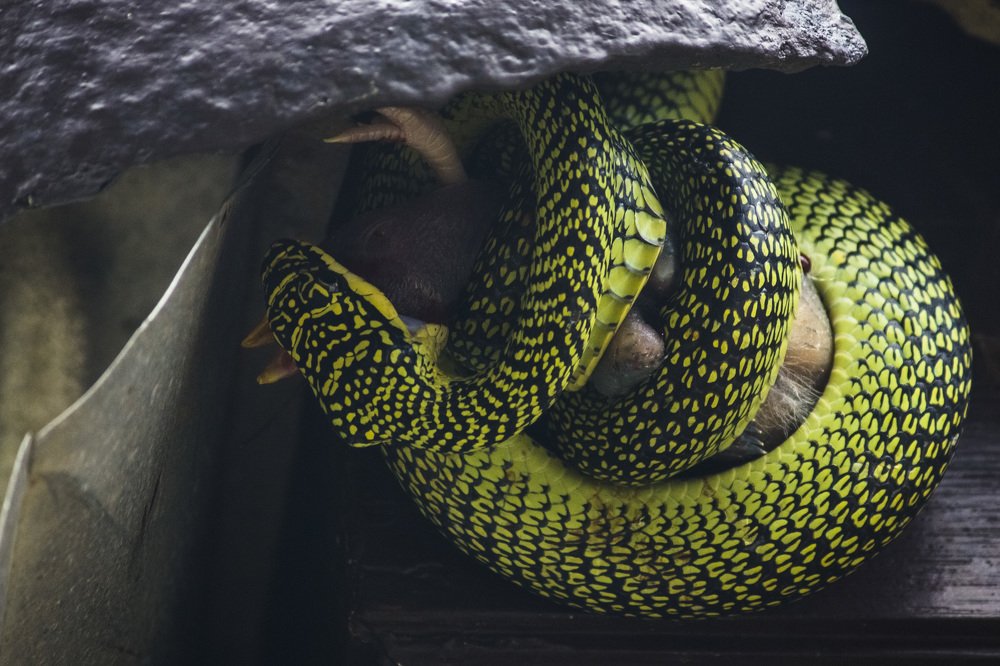 Фотография автора Олеся Набиева