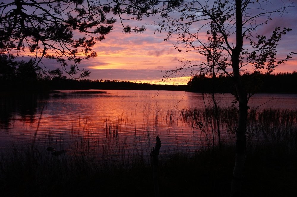 белая ночь Карелии.