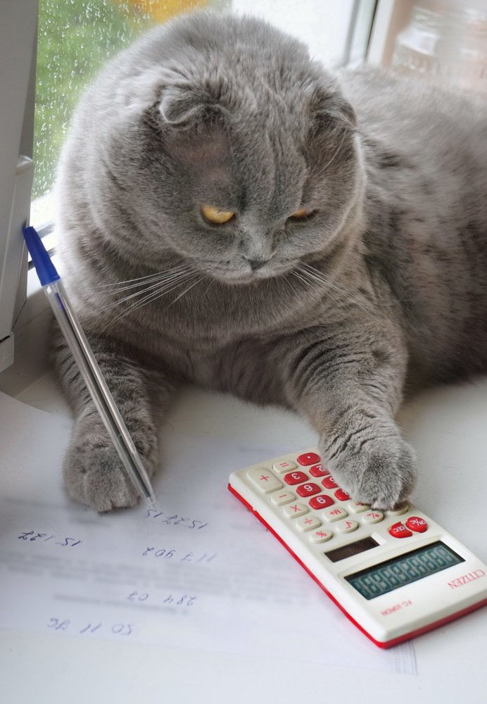 Подсчитываем убытки....