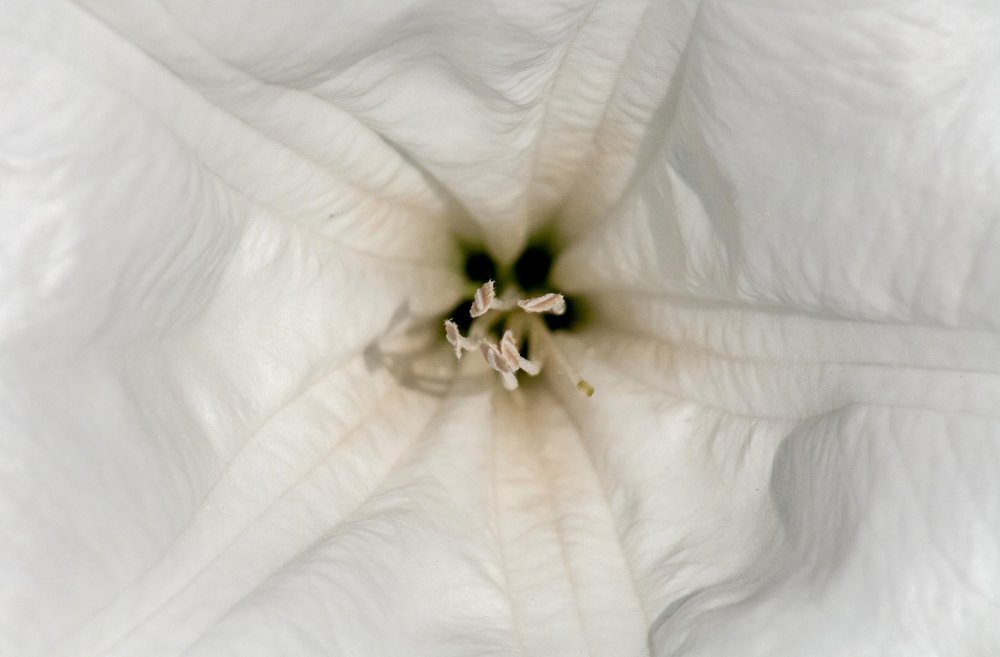 Photograph by Богдан Бигун