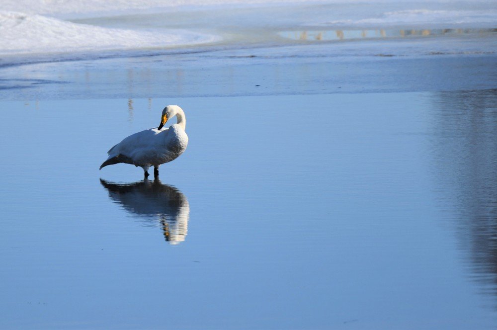 Одиночество