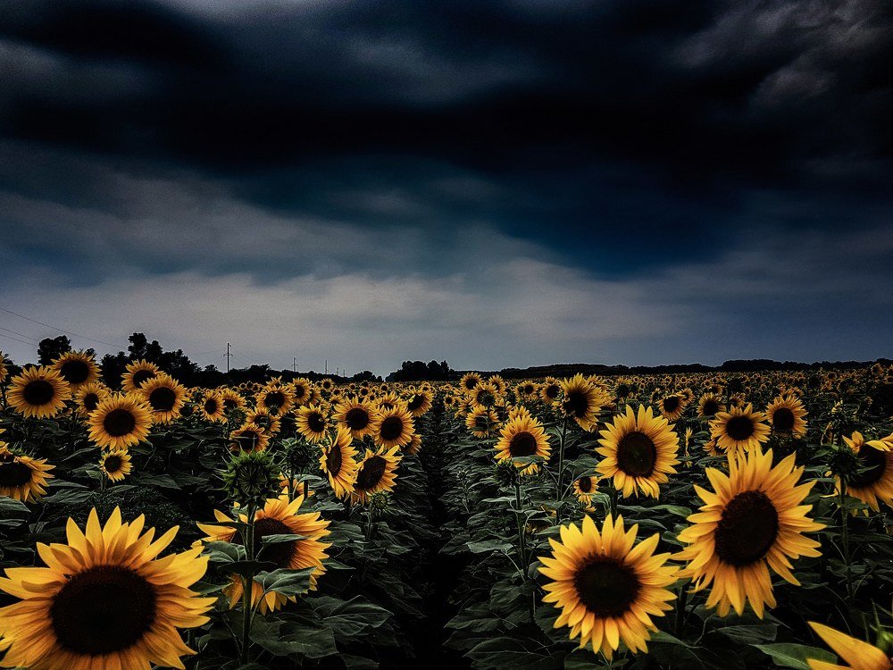 Лето. За секунду до...