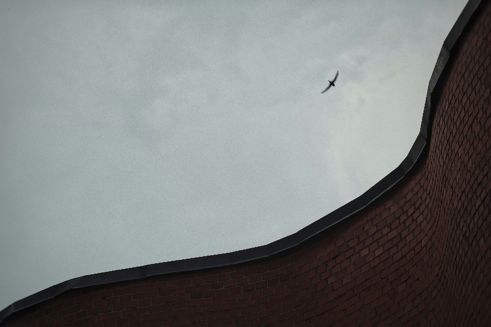 Photograph by Саша Курапов