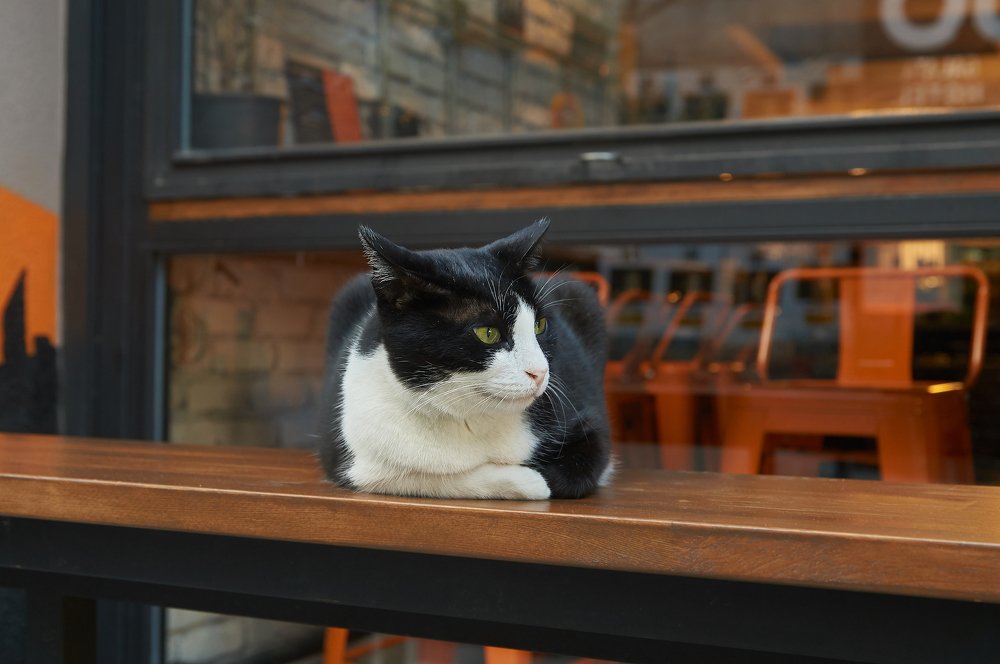 Photograph by Ирина Секачева