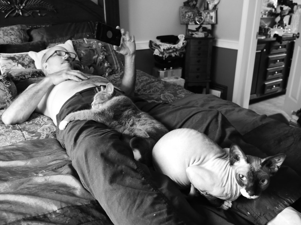 Трио на отдыхе.