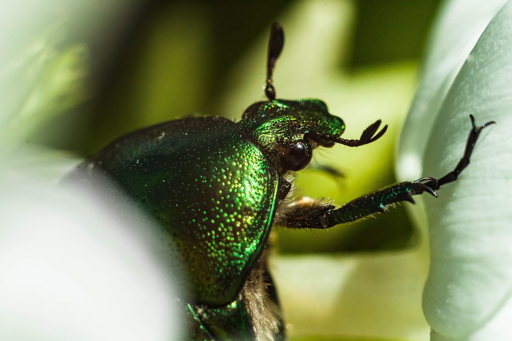 Photograph by Мария Бузыцкая