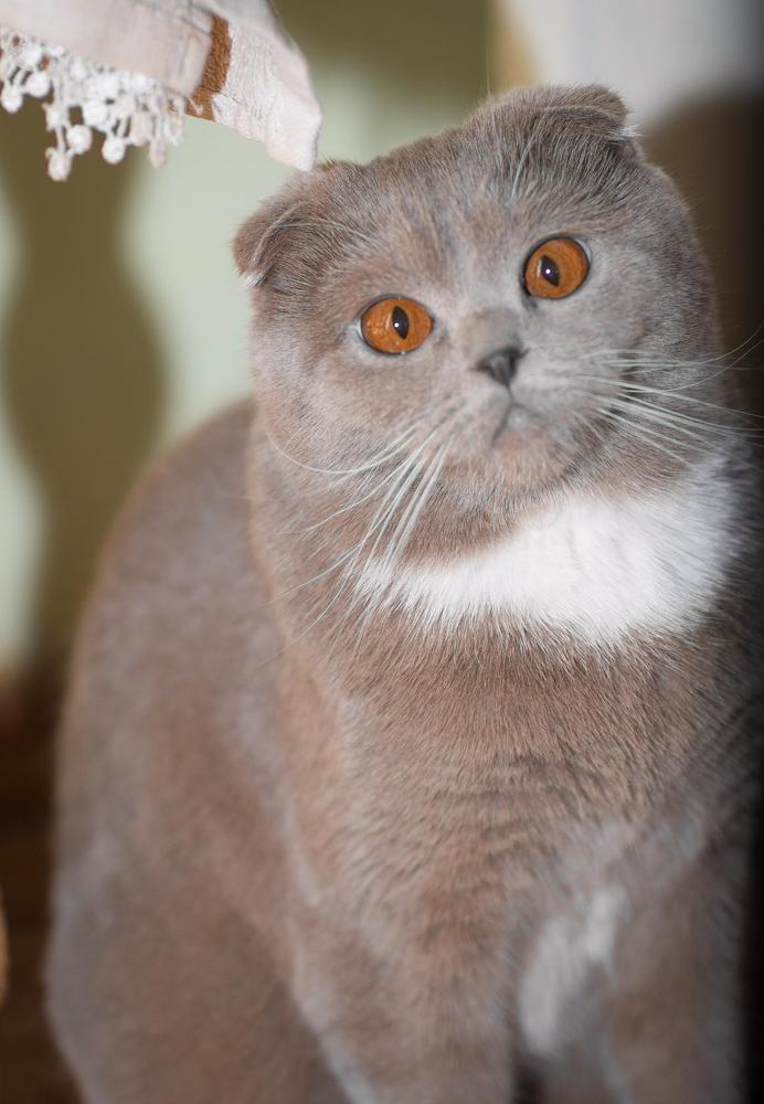 Photograph by Анастасия Савельева