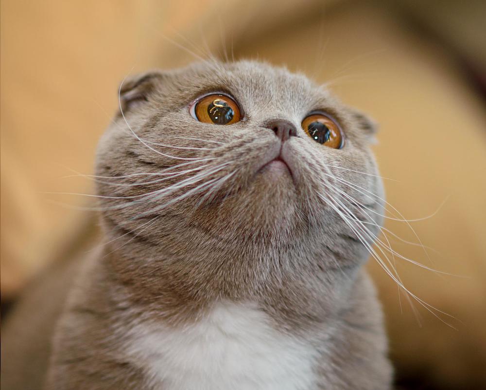 Photograph by Анастасия Савельева