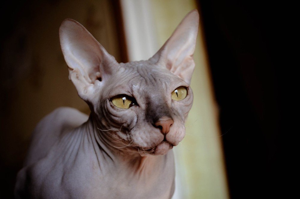 Photograph by Анастасия Савельева