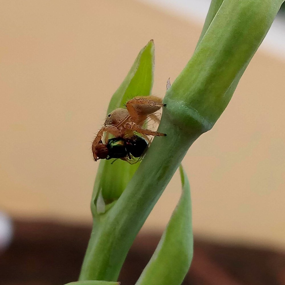 Nothing in this life is permanent