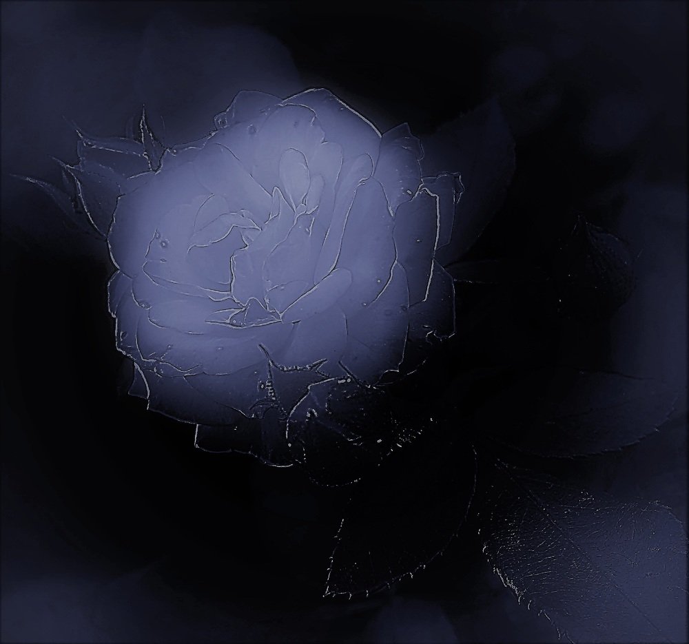 Photograph by Алия Байсыкова