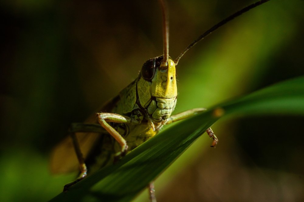 Photograph by Мария Бузыцкая