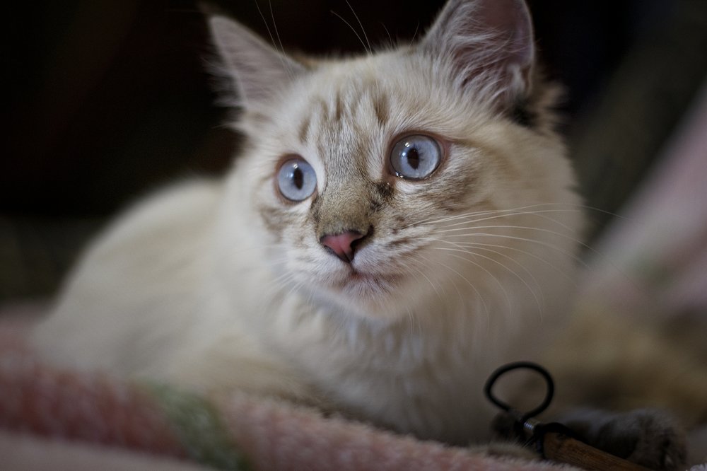 Photograph by Чунина Наталья