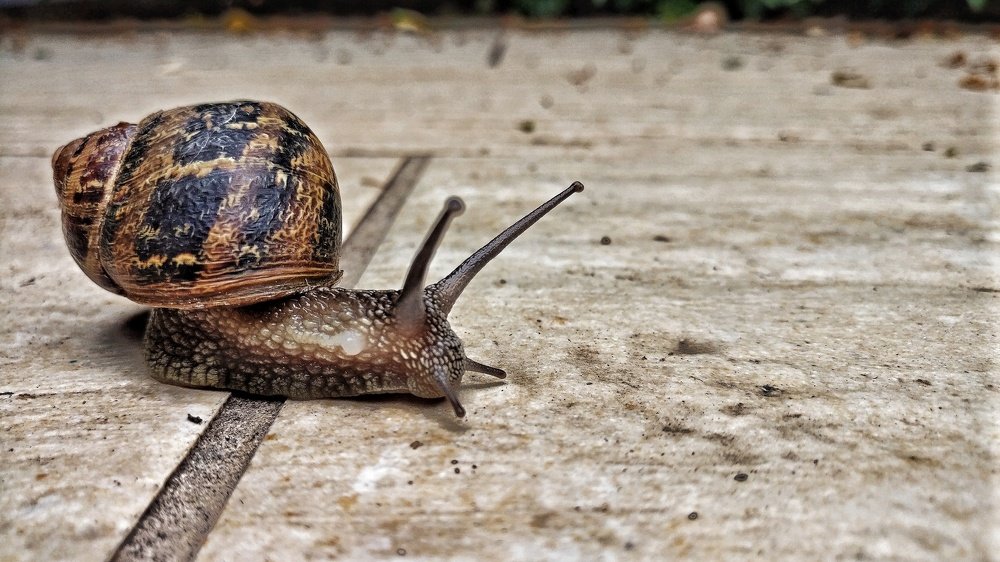 Фотография автора Денис Кулешов