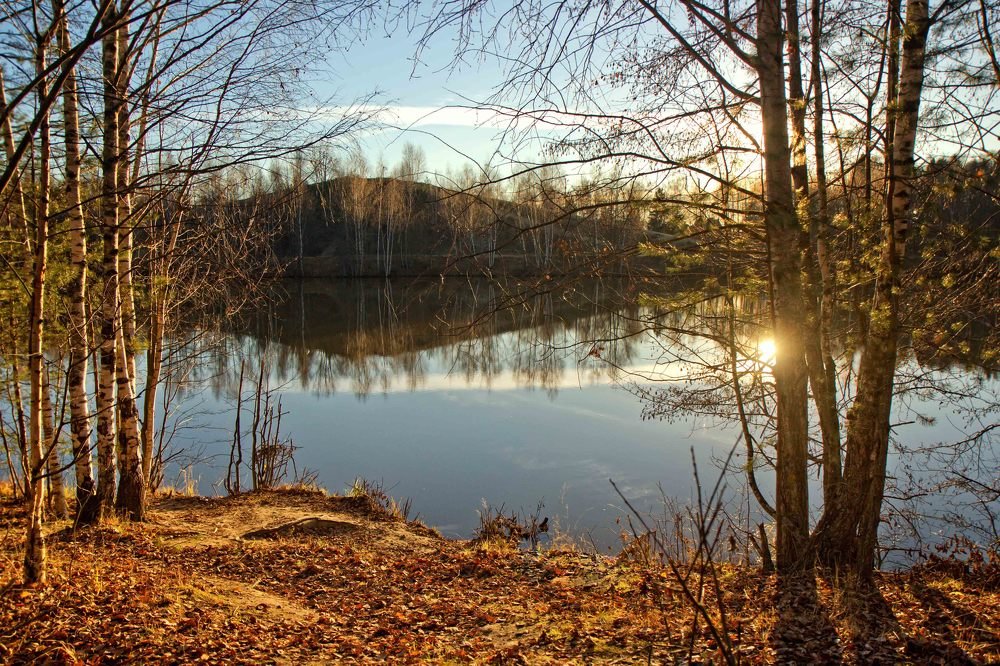 Поздняя осень!
