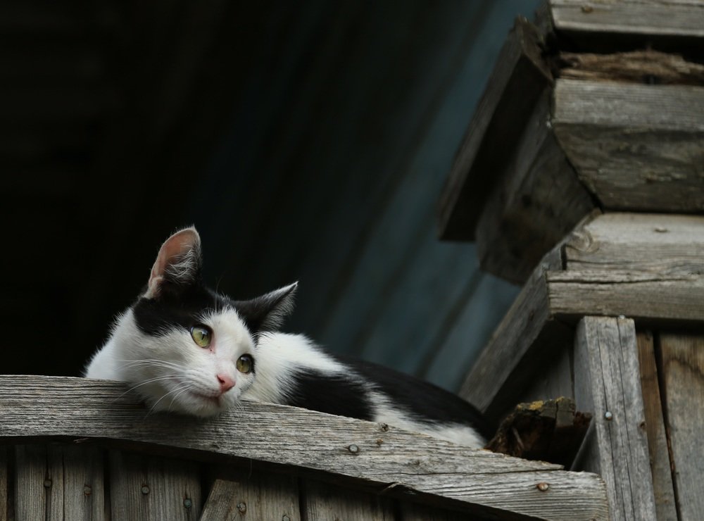 Photograph by Дарья Юсарева