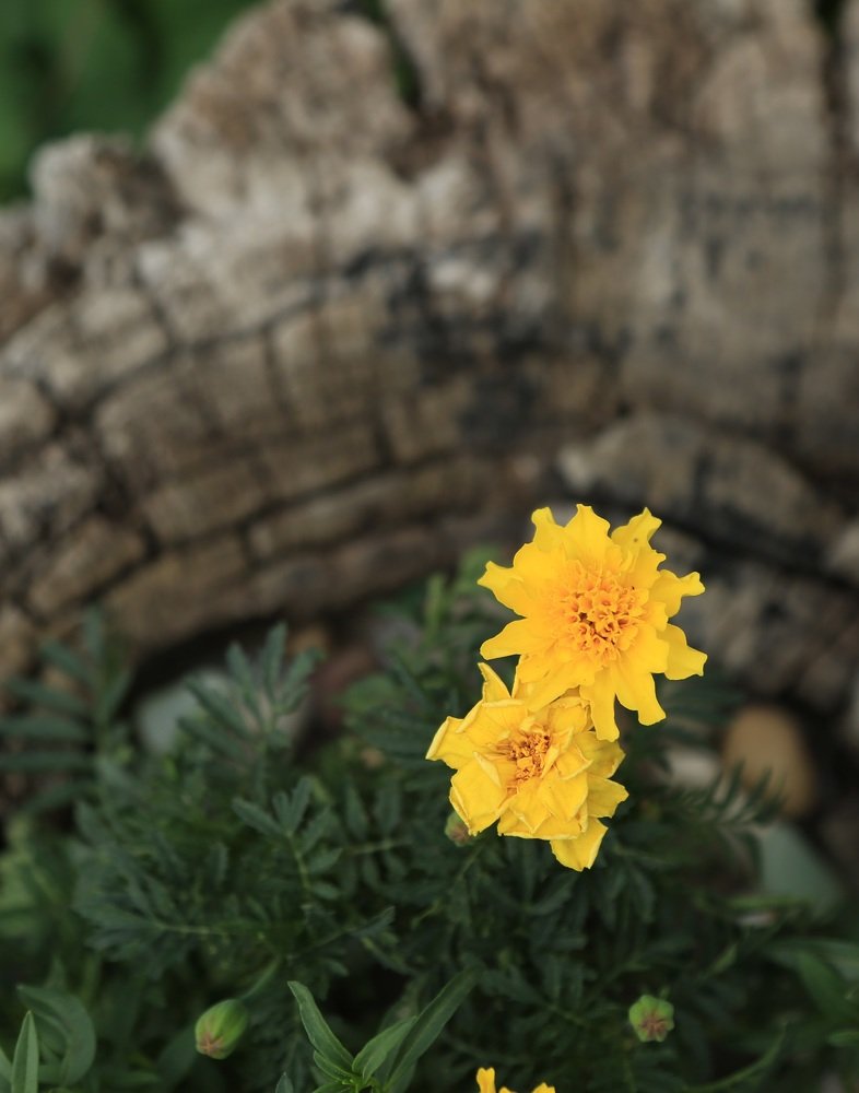 Photograph by Дарья Юсарева