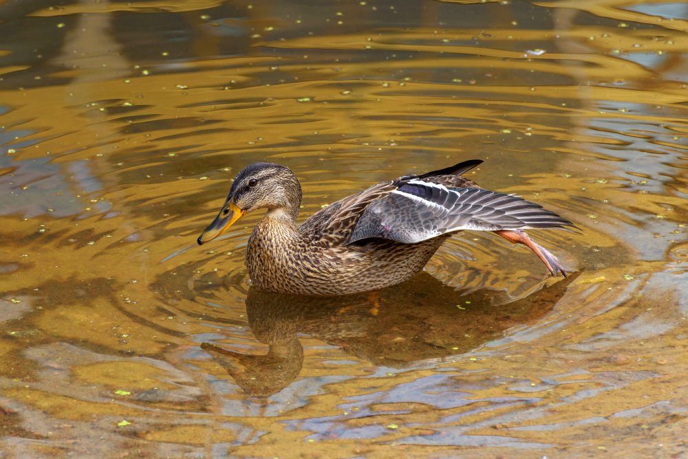 Послеобеденная зарядка.